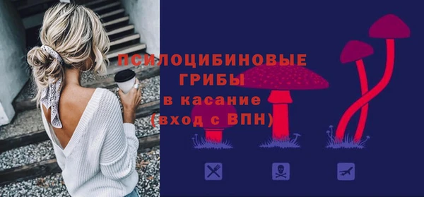 МДПВ Няндома