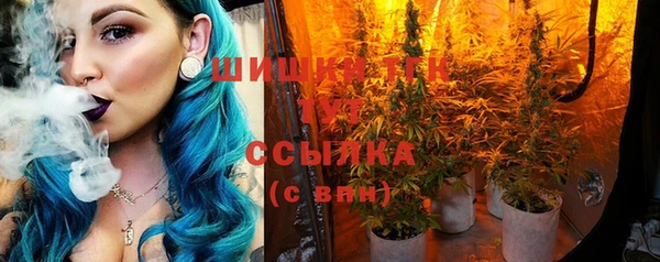 МДПВ Няндома