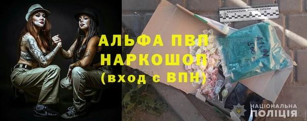 дмт Новозыбков