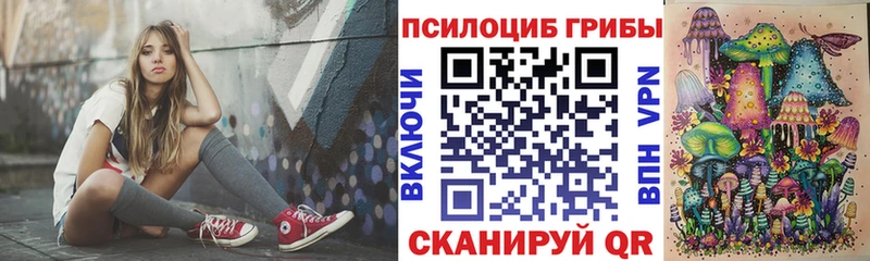 Псилоцибиновые грибы Psilocybine cubensis  купить закладку  Чита 