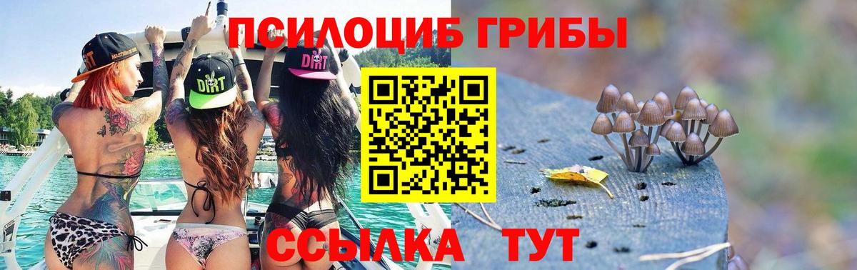 Галлюциногенные грибы Psilocybine cubensis  Чита 