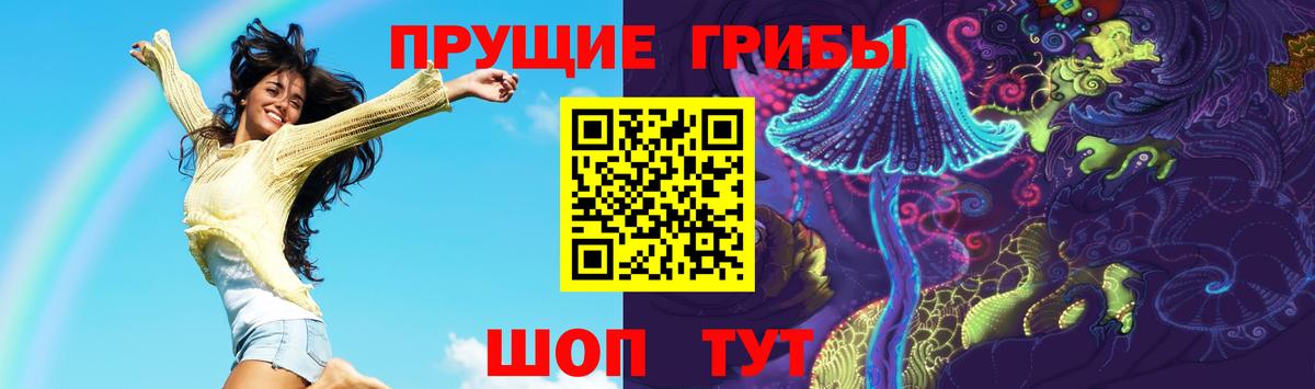 Галлюциногенные грибы GOLDEN TEACHER  Вход с VPN  Чита  Псилоцибиновые грибы Cubensis 
