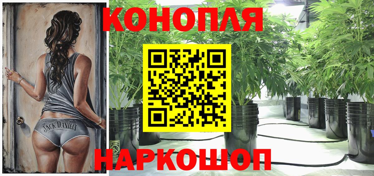 Канабис SATIVA & INDICA  Вход с VPN  Бошки Шишки планчик  Марихуана ГИДРОПОН  Каннабис MAZAR  Чита 